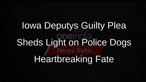 Former Iowa deputy pleads guilty in hot-vehicle death of police dog